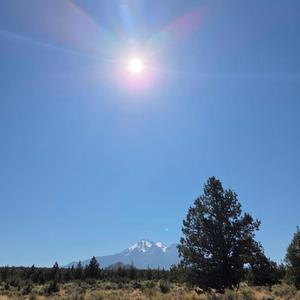 世界が平和で有ります様に(World Peace Song)