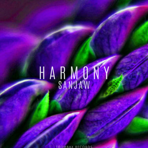 Harmony (Original Mix)