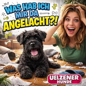 Schlaf wird überbewertet