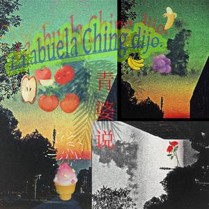 海岸的海鸥走来走去