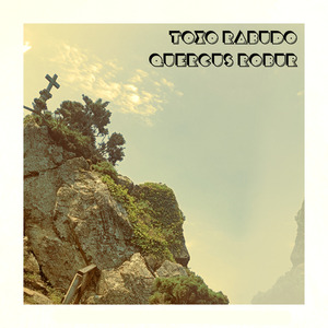 Quercus Robur (Piano Version)