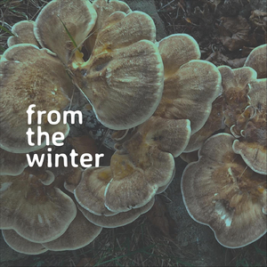 From the Winter