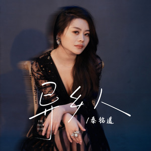 异乡人（这么凉的夜晚 这么亮的灯）