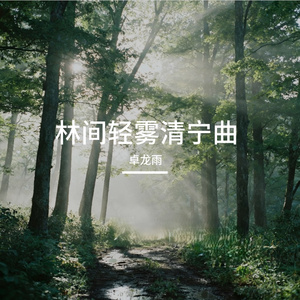 林间轻雾清宁曲