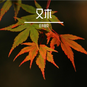 困在雨天的人 也会遇见喜欢的伞