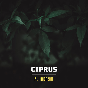 Ciprus (Instrumental Version)