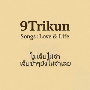 ไม่เจ็บไม่จำ เจ็บซ้ำๆยังไม่จำเลย