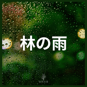 林の雨 (01)