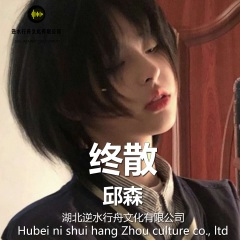 如果此生没有遇见你 (dj版)