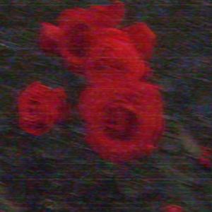RoSedream