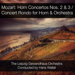 Concerto No. 2 for Horn & Orchestra in E-Flat Major, K.417: II. Andante