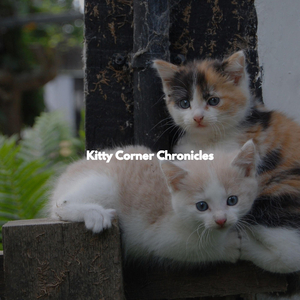 Vibrant Ambiance for Coffee and Foggy Days