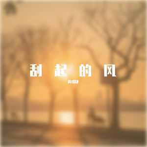 刮起的风