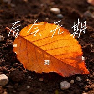 后会无期 (Cover 徐良 & 汪苏泷)
