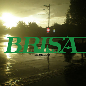 Brisa