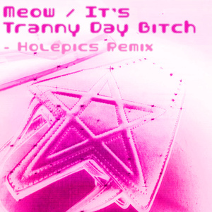 It's Tranny Day Bitch (Holepics Remix)