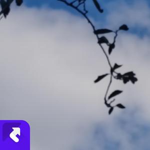 长恨歌（国风版） (现场)