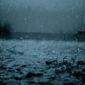 Summer Rain