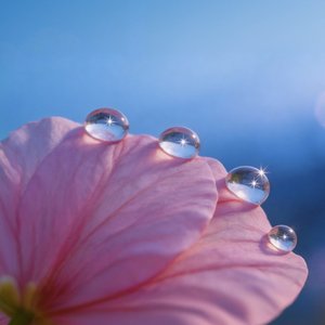 落日歌（温情版）