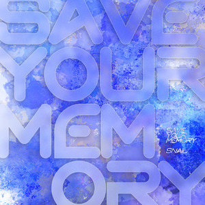 Save Your Memory