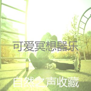抚慰的睡眠回忆