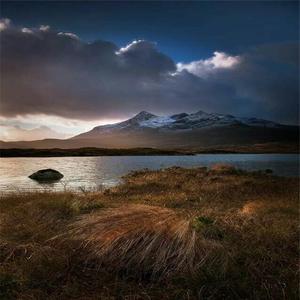 如果这世界真的有如果