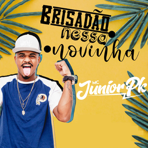 Brisadão Nessa Novinha