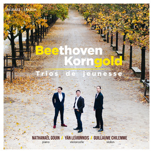 Piano Trio in C Minor, Op. 1 No. 3: IV. Finale. Prestissimo