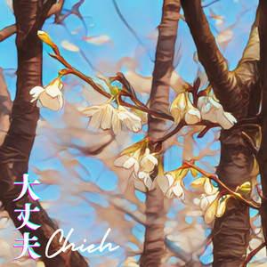 大丈夫