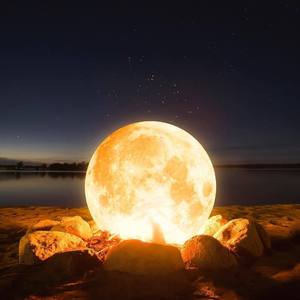 我们不应该这样活着或者死去demo