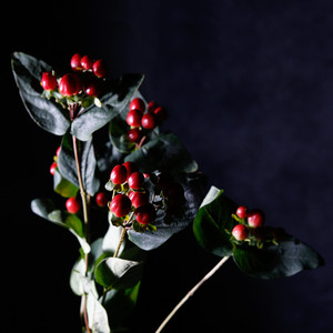 Englakór frá himnahöll