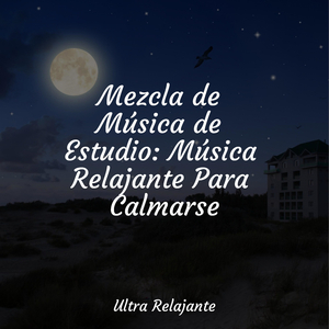 Velas De Viento en El Horizonte