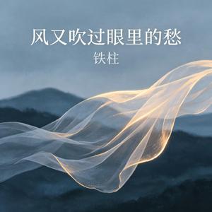 风又吹过眼里的愁