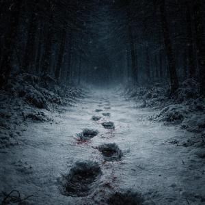 Footprints in the Snow