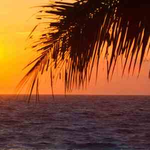 杏雨梨云 (催眠曲)