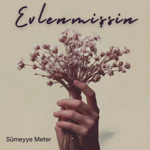 Evlenmişsin
