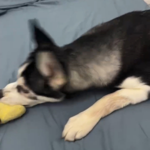 花都湖的世界.wav