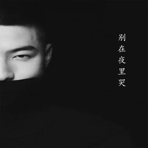别在夜里哭
