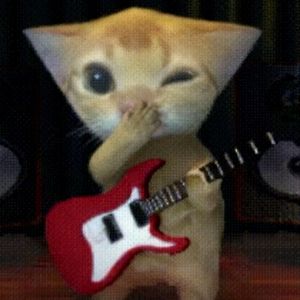 吸引小猫 (寻找小猫)