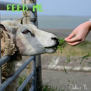 Feed Me