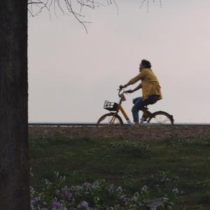 浸入深蓝(原陈婧霏)