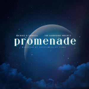 sleepwalker's melody (nature version)