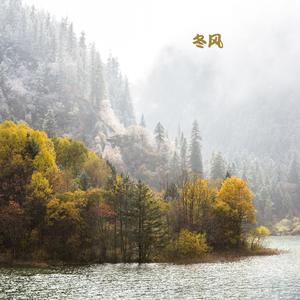 落英缤纷 (静心曲)