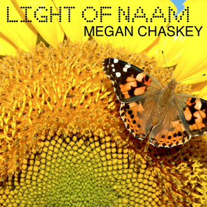 Lumen De Lumine (feat. David Darling)