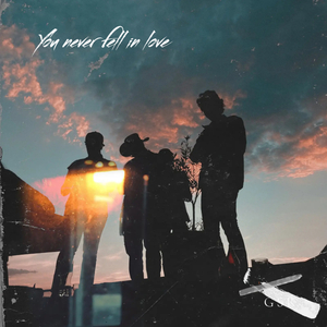 You Never Fell in Love