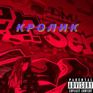 Playboy (Krolik)