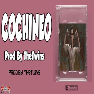Cochineo (Instrumental) (feat. Jangueo DomiMusic)