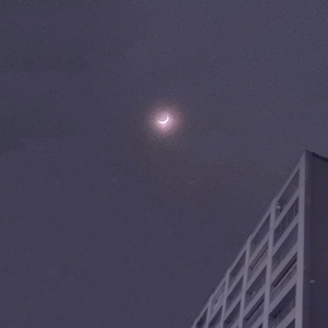 とろける夜