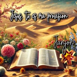 Jésus tu es ma provision (feat. Groupe Janjon Kousy)