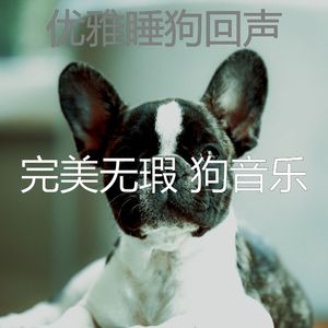 有趣幼犬情怀